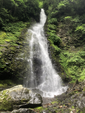 1502F271-1E0B-4861-A47F-5BB543D84EB5.jpg