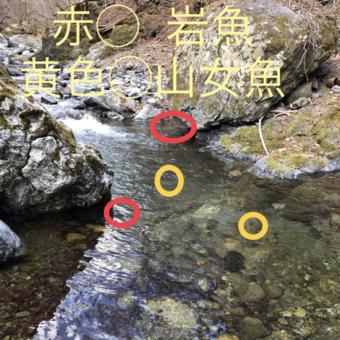 61DD5259-0069-4A37-9427-57A3A3BE5646.jpg