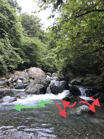 6D6E5F4D-38B2-4281-9049-5E0707520D6F.jpg