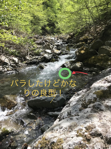 8DD97E1E-991D-43CD-8003-4B5DC0AC5C68.jpg