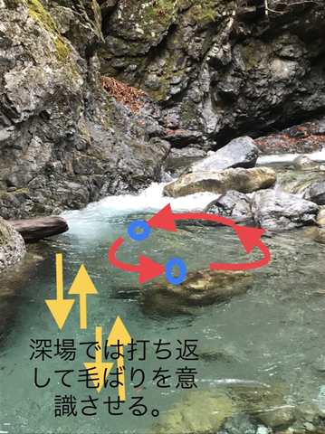 981B286E-90A0-4AA2-A056-B99B25DA0F38.jpg