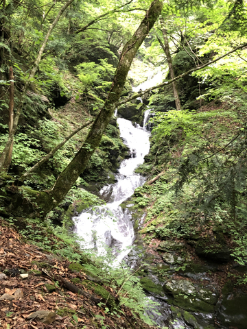 C7CF7863-BA00-45A2-A156-408C039E6799.jpg