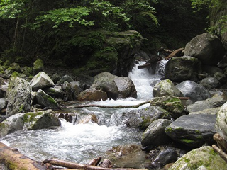 image-20131204210359.png