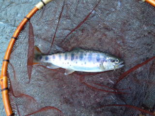 image-20131204210440.png